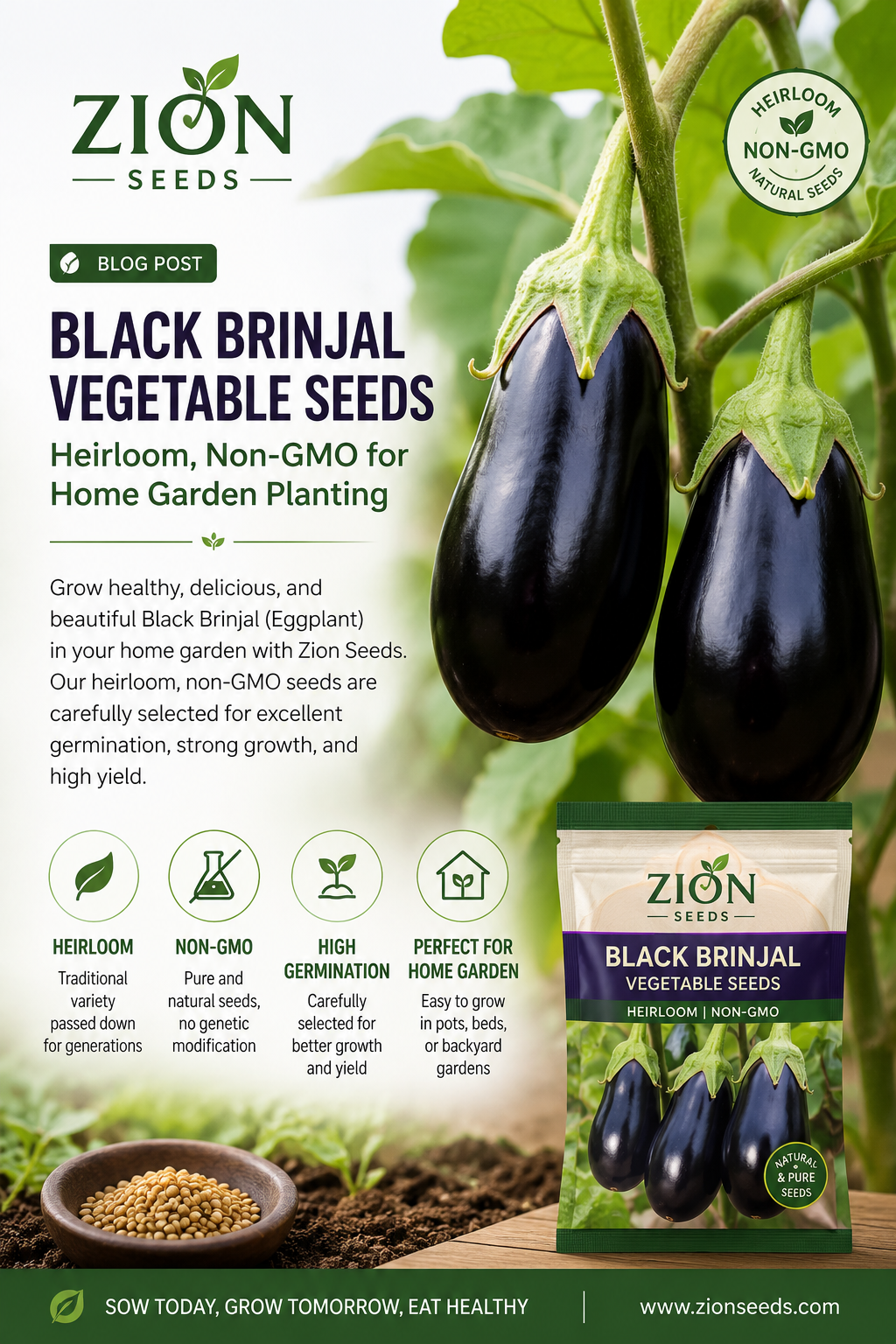 Black Brinjal Vegetable Seeds