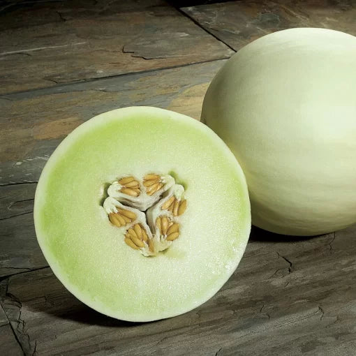 snow mass honeydew melon high organic Fruit Seeds organic garden seeds