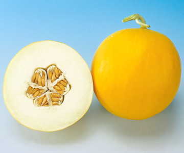 amy hybrid melon smooth rind sweet early melons high organic Fruit Seeds organic garden seeds