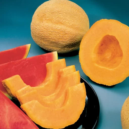 whopper hybrid cantaloupe large sweet high yield melons organic Fruit Seeds organic garden seeds