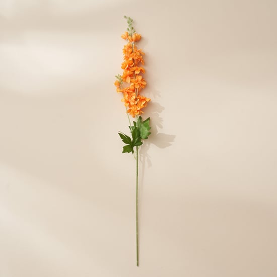 Orange Delphinium Flower Seeds - Heirloom Non GMO High Germination Premium Flower Seeds for Home Garden
