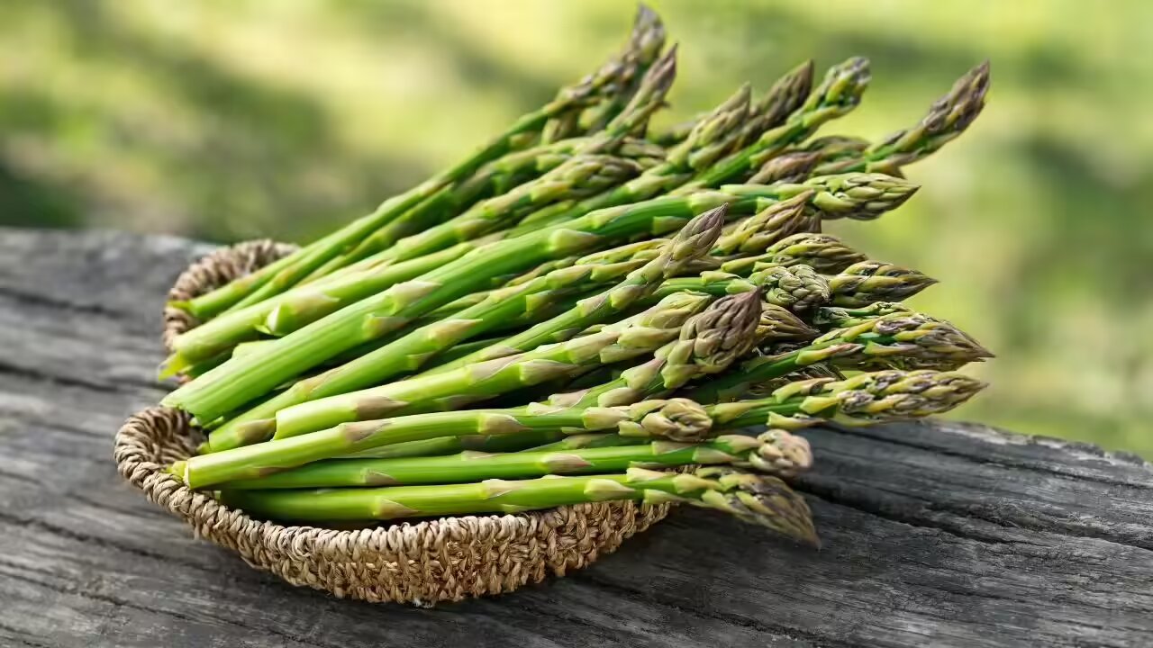 Asparagus vegetable seeds for Growing Green vegetable seeds for Home Gardening, Healthy Culinary for kitchen garden planting
