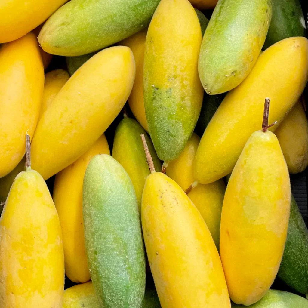 orange banana passion fruit for planting Fruit Seeds