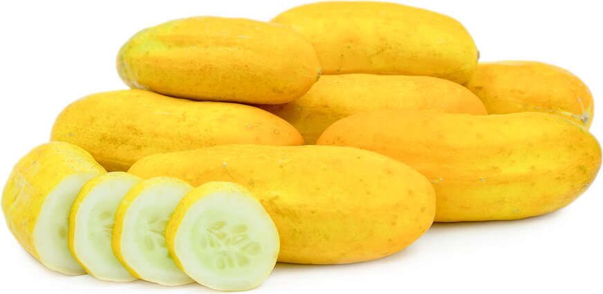 Yellow Cucumber Vegetable Seeds for Home Gardening, Heirloom, Non Heirloom, Non-GMO for Home Garden Planting