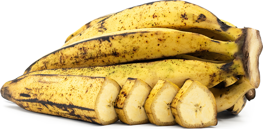 Rhino Horn Banana African Giant Fruit Tree Tropical Variety Ideal Home Gardens Fruit Fruit Seeds
