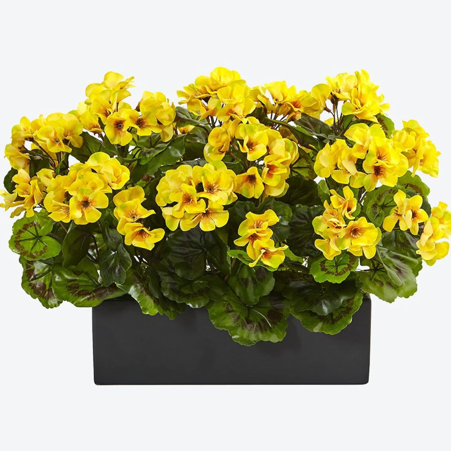 Yellow Geranium Flower Seeds