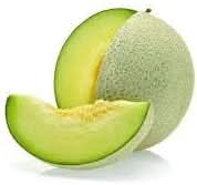 green honeydew melon fruit sweet and refreshing melons for your garden Fruit seeds