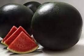 watermelon fruit black Fruit Seeds organic garden seeds