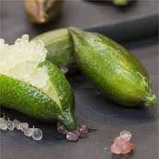 lime fruit high yield for growing fresh limes Fruit seeds
