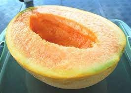 Yubari Melon For Growing Rare And Sweet Varieties For Landscape Gardening Fruit Seeds