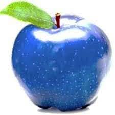 blue apple fruit for planting vibrant apples a unique garden experience Fruit seeds
