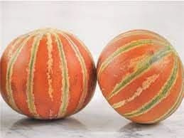 kajari melon fruit indian variety for warm climates Fruit seeds