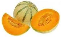 Charentais Fruit Growing French Melon Delights Sweetness Gmo Free Fruit Seeds