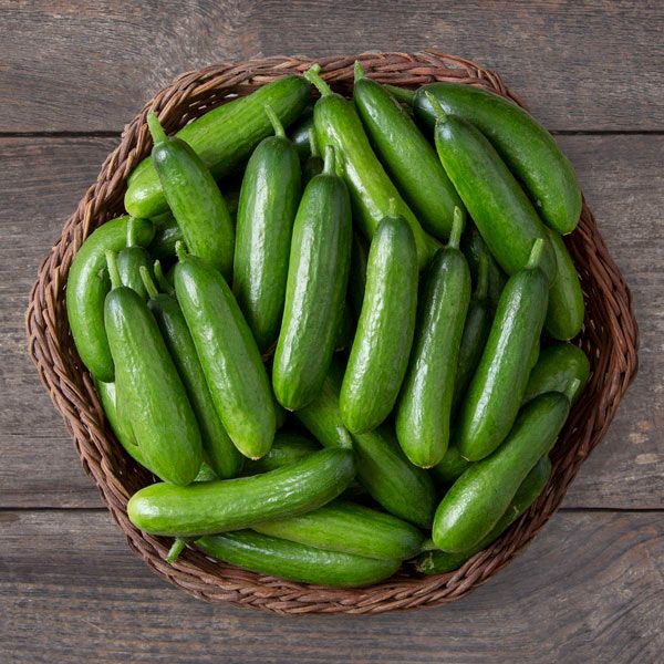 Green Mini Cucumber Plant Seeds vegetable seeds - Heirloom, Organic, Non Gmo Garden Seeds for kitchen garden planting