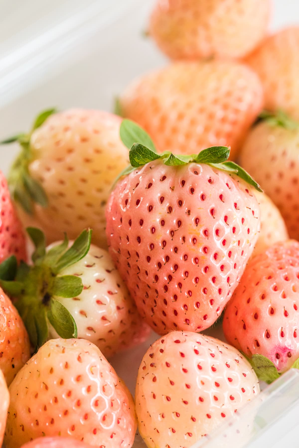 Bright Orange Straw Berry A Fruit Seeds