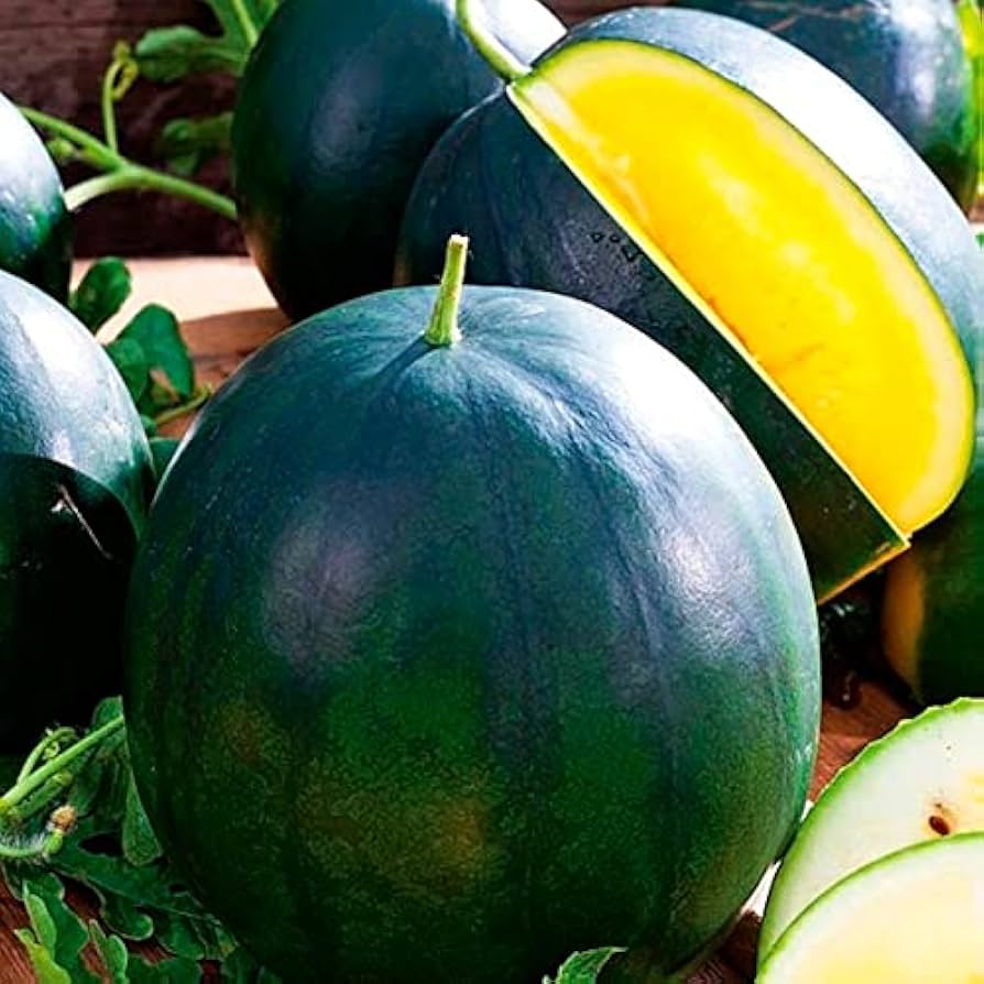 Yellow Yanosik Fruit For Juicy And Tropical Home Planting Fruit Seeds