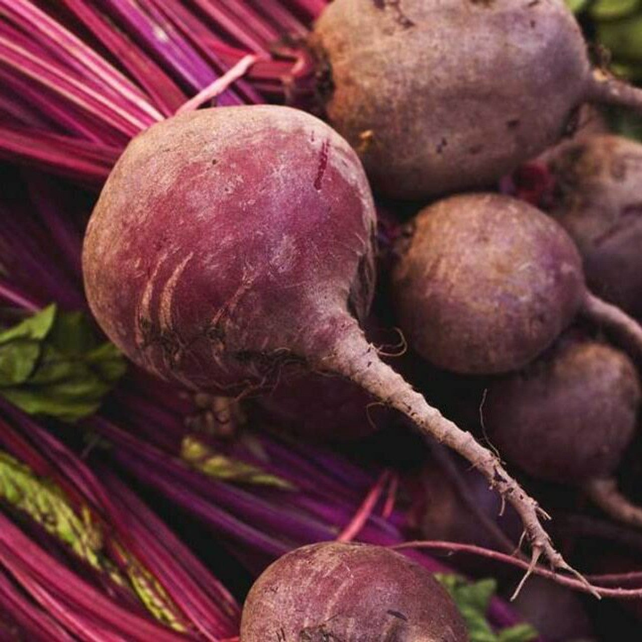 Beetroot Fruit Nutrient Rich And Earthy Beetroots Fruit Seeds