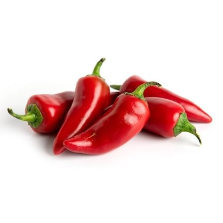 Gaint Red Chilli vegetable seeds for Home Gardening, Easy Grow Culinary Garden Selection for kitchen garden planting