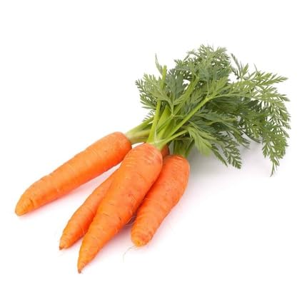 Orange Carrot vegetable seeds for Home Gardening, Heirloom, Non-GMO, High Germination for kitchen garden planting