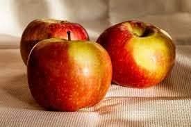 red yellow apple fruit for planting heirloom non gmo Fruit seeds