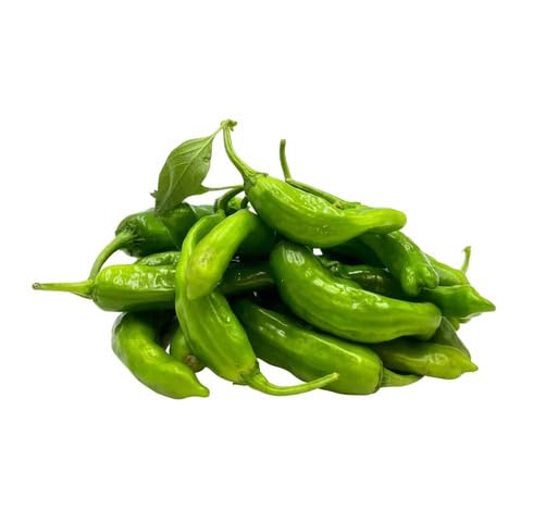 Green Shishito Pepper vegetable seeds - Heirloom, Organic, Non Gmo Garden Seeds for kitchen garden planting