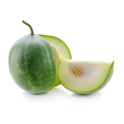 ash gourd vegetable seeds
