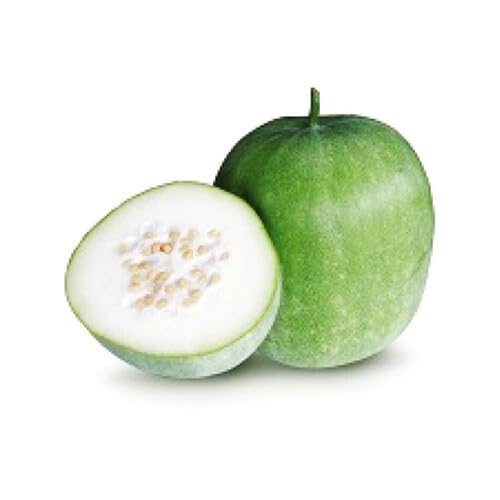 PaleGreen ash Gourd vegetable seeds vegetable seeds for Home Gardening, Premium Kitchen Garden for kitchen garden planting