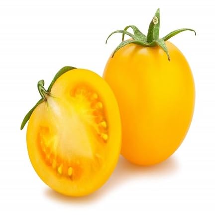 Yellow Tomato vegetable seeds for Home Gardening, Premium Kitchen Garden Planting Premium for kitchen garden planting