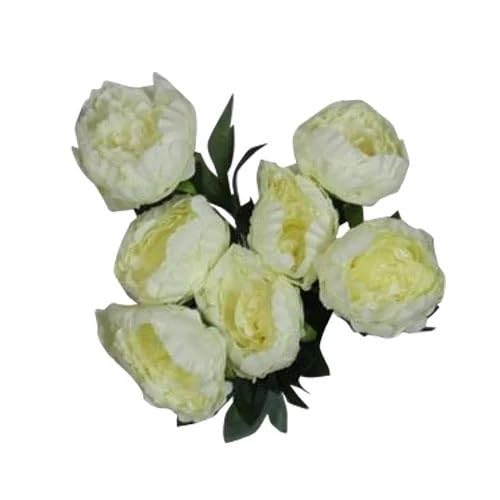 White Peony Flower Seeds Exotic Flowering Plants for Vibrant Backyard Beauty for Colorful Landscape - Heirloom Non GMO H