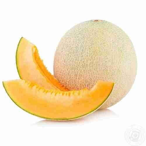 Cantaloupe Melon Fruit fruit seeds for organic garden planting