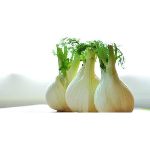 Green Florence vegetable seeds for Home Gardening, Fast Growing Home Garden Variety for kitchen garden planting