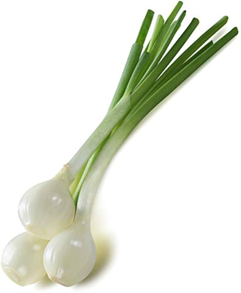 White White Heirloom Crystal Wax Onion Bermuda Cocktail Onions Flower vegetable seeds Home Garden for kitchen garden planting