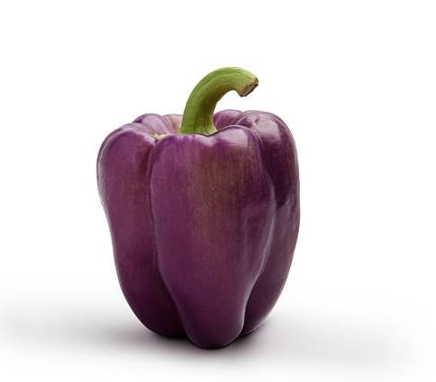 Pepper Seeds. vegetable seeds for Home Gardening, Premium Kitchen Garden Planting Premium for kitchen garden planting