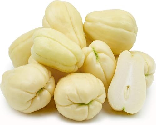 Chayote Yellow vegetable seeds for Home Gardening, Natural Farm Fresh Gardening Choice for kitchen garden planting