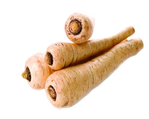 Parsnip vegetable seeds for Home Gardening, Organic Raised Bed Garden Favorite Premium for kitchen garden planting