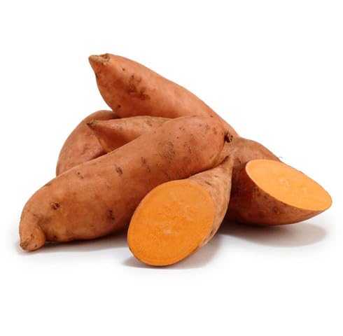 Brown Sweet Potato vegetable seeds vegetable seeds for Home Gardening, Premium Kitchen Garden for kitchen garden planting