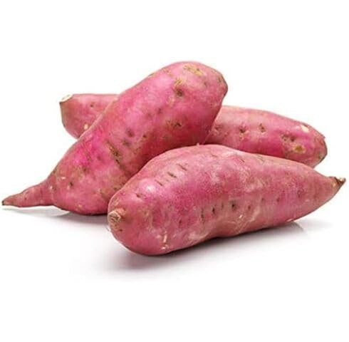 Pink Yacon vegetable seeds - Heirloom, Organic, Non Gmo Garden Seeds for kitchen garden planting