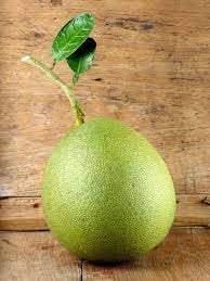 melon pinonet fruit for planting grow tropical and refreshing fruits at your home garden Fruit seeds