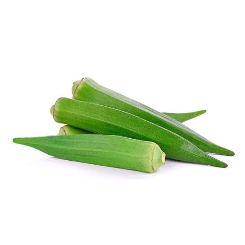 Green Okra vegetable seeds for Home Gardening, Heirloom, Non-GMO, High Germination Organic for kitchen garden planting