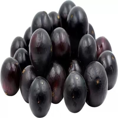 Jabuticaba fruit seeds for organic garden planting