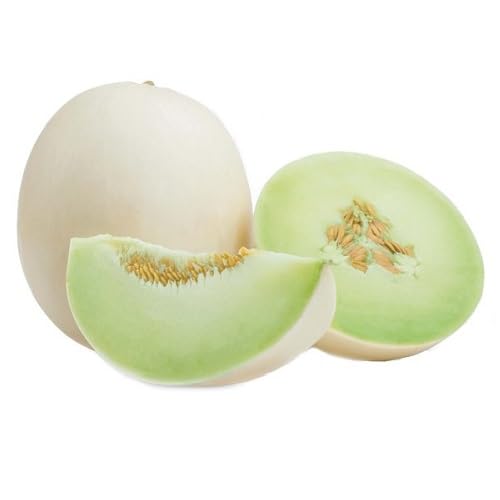 White Muskmelon fruit seeds for organic garden planting