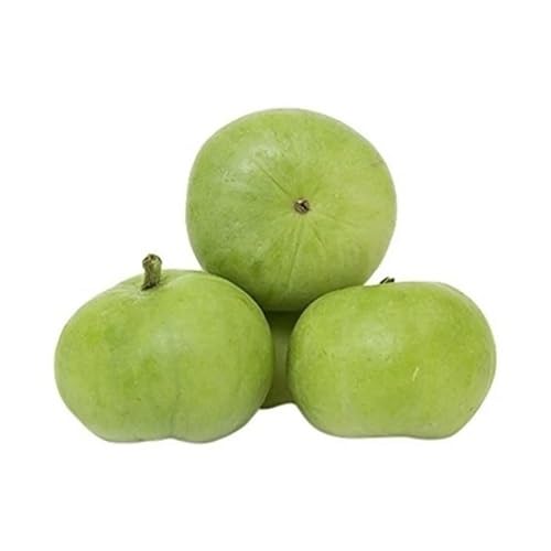 Green Apple Gourd Fruits . Fruit Seeds Rare Tropical Orchard Variety for Natural Tropical Planting