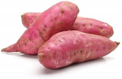 Sweet Potato Vegetable Seeds Heirloom, Non-GMO for Home Garden Planting