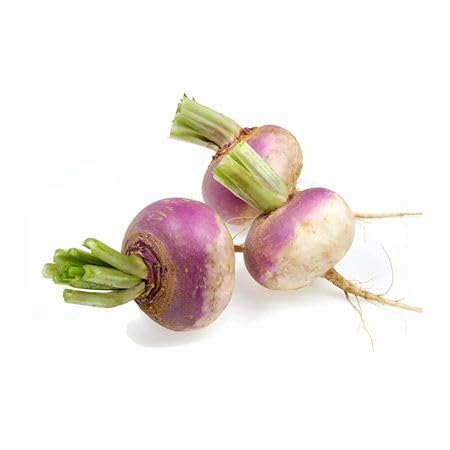 Purple Turnip vegetable seeds vegetable seeds for Home Gardening, Fresh Seasonal Vegetable Planting for kitchen garden planting