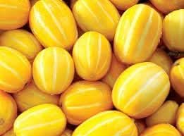 new fresh korean melon vegetable sweet crisp melons for a homegrown harvest Fruit seeds