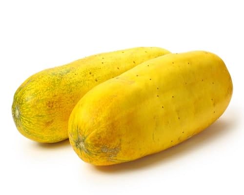 Cucumber vegetable seeds Yellow vegetable seeds for Home Gardening, Heirloom, Non-GMO, High for kitchen garden planting