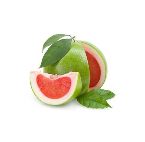 Green Pomelo fruit seeds for organic garden planting