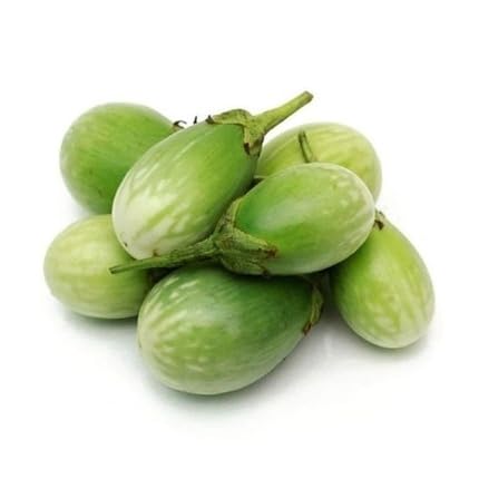 Green Eggplant vegetable seeds for Home Gardening, Premium Kitchen Garden Planting for kitchen garden planting