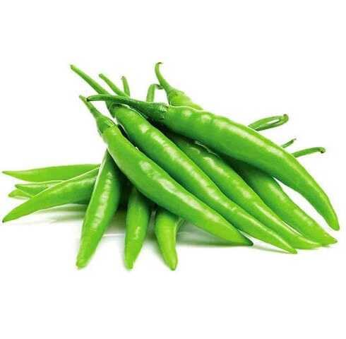 Green Chilli vegetable seeds vegetable seeds for Home Gardening, Fast Growing Backyard Harvest for kitchen garden planting