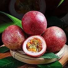 Passion Fruit Growing Exotic Sweet Fruits At Home Gmo Free For Fruit Seeds